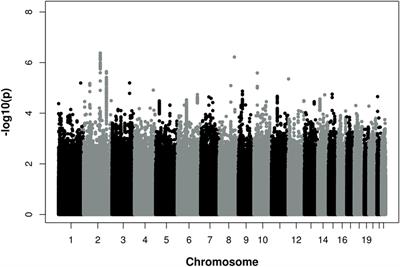 Genome-Wide Association Analysis for Severity of Coronary Artery Disease Using the Gensini Scoring System